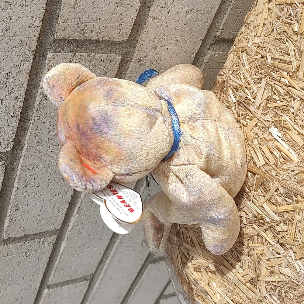 Clubby lll/Ty 🐻 - Picture 7 of 12